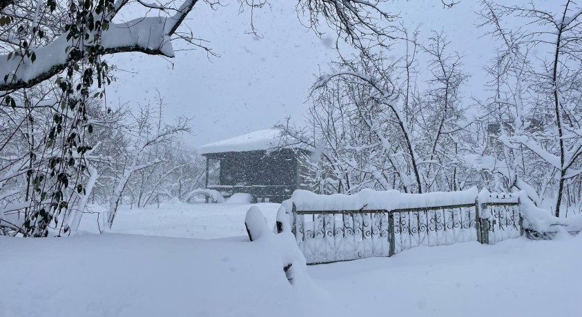 სტიქია და მსხვერპლი გურიაში