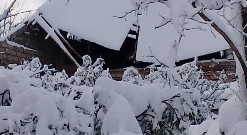 გურიიდან მოქალაქეები კვლავ ითხოვენ დახმარებას