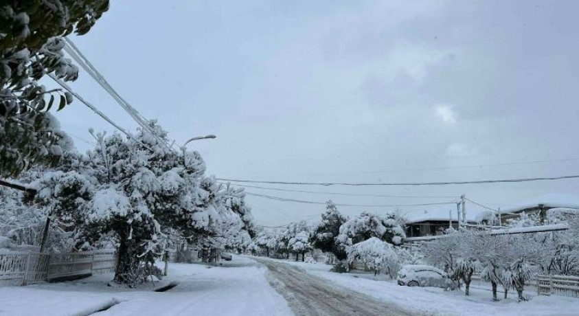 სოციალურ ქსელში გურიის რეგიონის მცხოვრებლები დახმარებას ითხოვენ