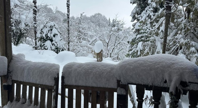 სტიქია ლანჩხუთის მუნიციპალიტეტის სოფლებში