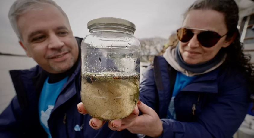 რობოტები და ბუშტების ბარიერები: როგორ ებრძვიან ვენეციასა ​​და პორტუგალიაში ოკეანის პლასტმასით დაბინძურებას