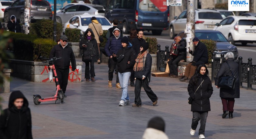 საქართველოს ეკონომიკის მომავლის განსხვავებული შეფასებები