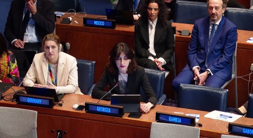 გაეროს ქალთა სტატუსის კომისია