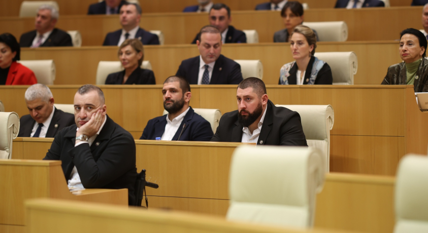 პარლამენტში მეორე მოსმენით მხარი დაუჭირეს სადავო კანონპროექტებს