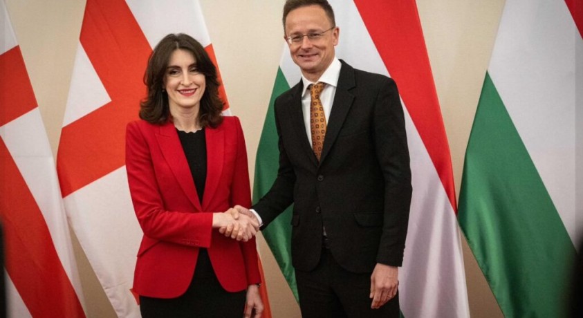 მაკა ბოჭორიშვილის ვიზიტი უნგრეთში