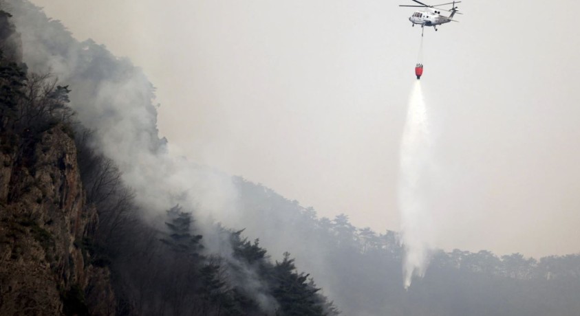 სამხრეთ კორეაში მასშტაბურ ხანძარს ებრძვიან
