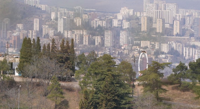 თბილისის ტყეების მნიშვნელობა მოსახლეობის ჯანმრთელობისთვის და ქალაქისთვის