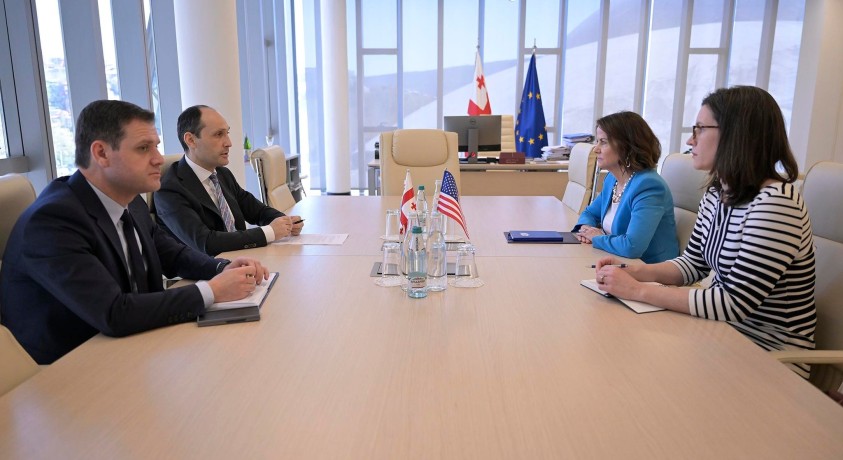 ლევან დავითაშვილი რობინ დანიგანს შეხვდა