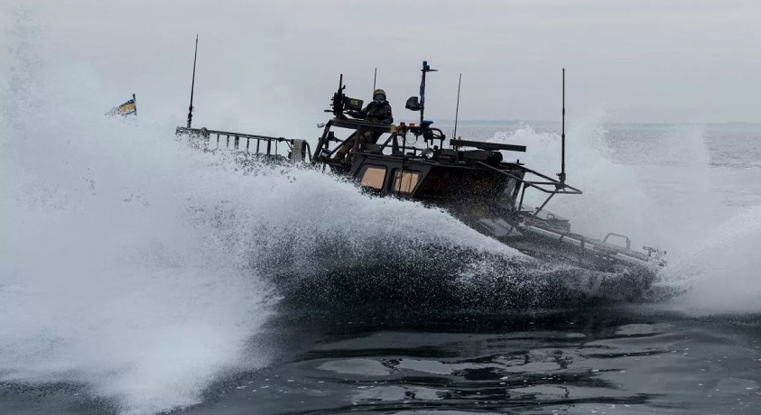 შავ ზღვასა და მდინარე დუნაიზე ნატოს ყოველწლიური საზღვაო წვრთნები მიმდინარეობს