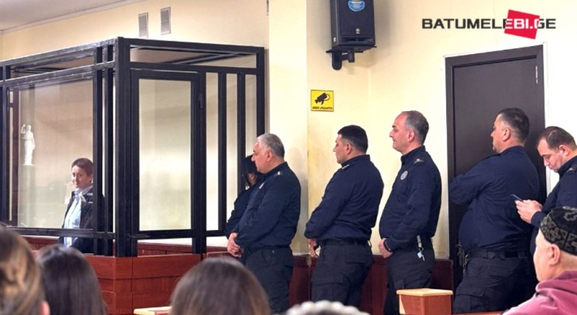 მზია ამაღლობელის საქმეზე შემდეგი სხდომა 14 აპრილს ჩაინიშნა