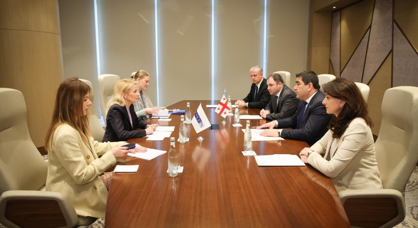 ეუთოს საპარლამენტო ასამბლეის პრეზიდენტი შალვა პაპუაშვილს შეხვდა