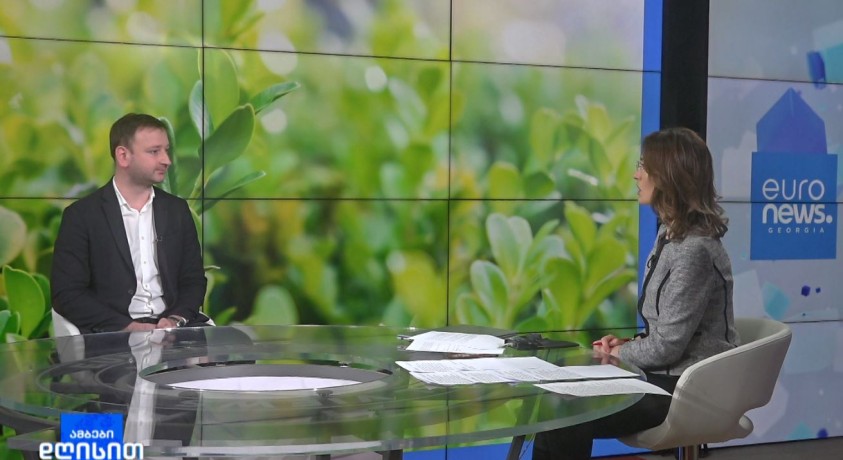 ბზის მოჭრაზე კონტროლი მკაცრდება