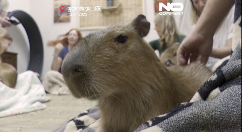 ფლორიდა, აშშ