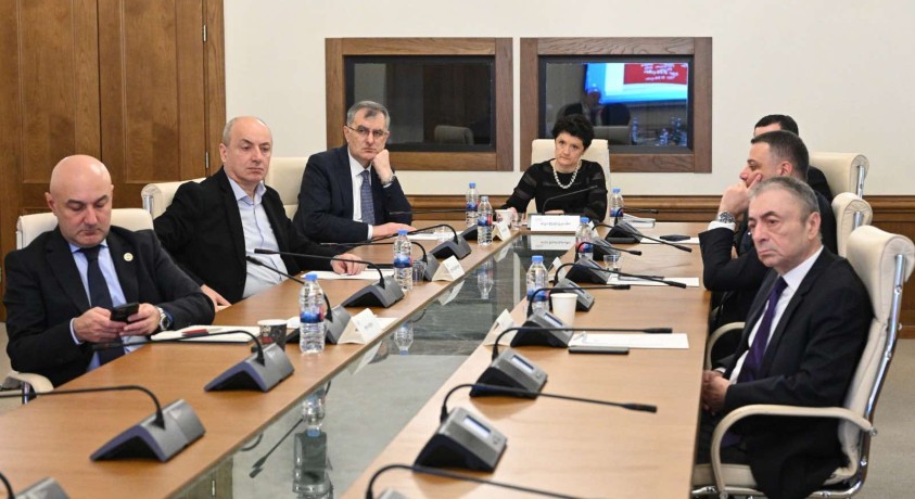 პარლამენტის დროებითი საგამოძიებო კომისიის სხდომაზე ჯონდი ბაღათურიას მოუსმინეს