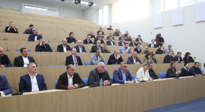 TI მმართველ პარტიას მოუწოდებს, არ დაუჭიროს მხარი „გრანტების შესახებ” კანონში ცვლილებებს