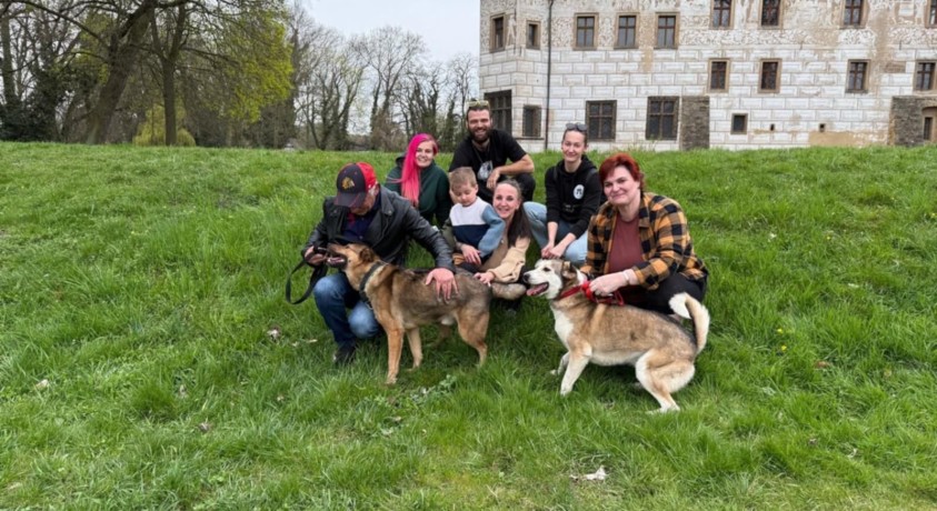 ძაღლის ბედი