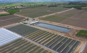 მოცვი და კლიმატის სამოქმედო გეგმა