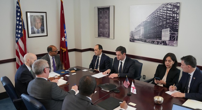 ქართული დელეგაციის ვიზიტი ვაშინგტონში