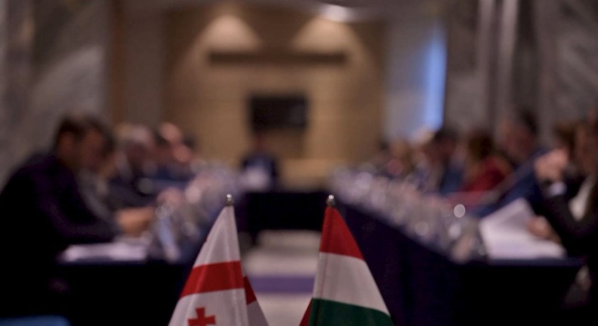 თბილისში უნგრეთ-საქართველოს სამთავრობათშორისო კომისიის მეექვსე სხდომა გაიმართა