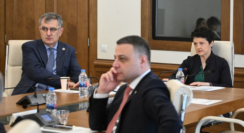 ე.წ. ნავთლუღის სპეცოპერაციის საქმეზე დროებითმა საპარლამენტო კომისიამ ორ მოქალაქეს მოუსმინა