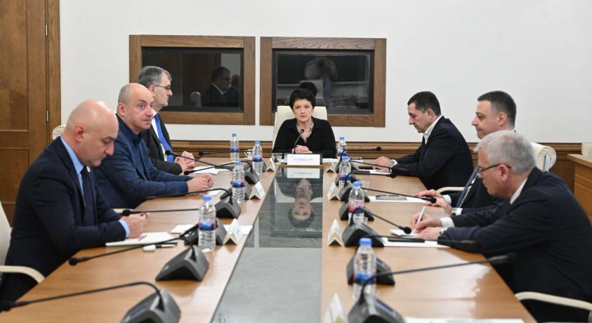 დროებითი საგამოძიებო კომისიის სხდომა