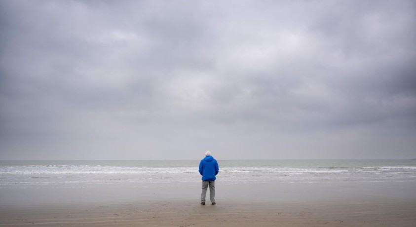 ლონდონში სერ დევიდ ეტენბოროს ახალი ფილმის პრემიერა გაიმართა