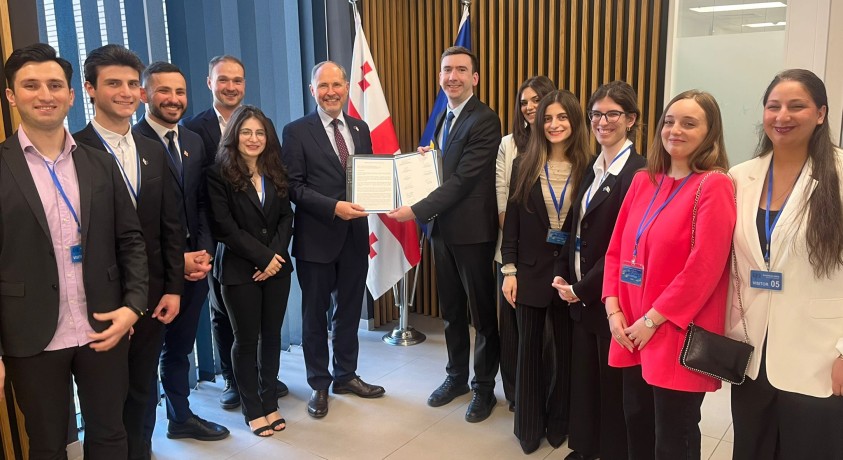 ახალგაზრდული ორგანიზაციები ევროპელებს ულოცავენ