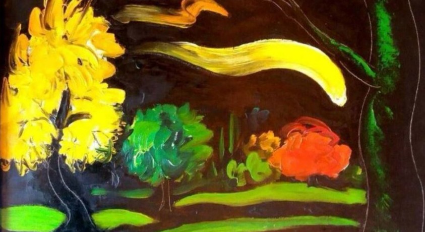 ნათელა იანქოშვილის ფერები