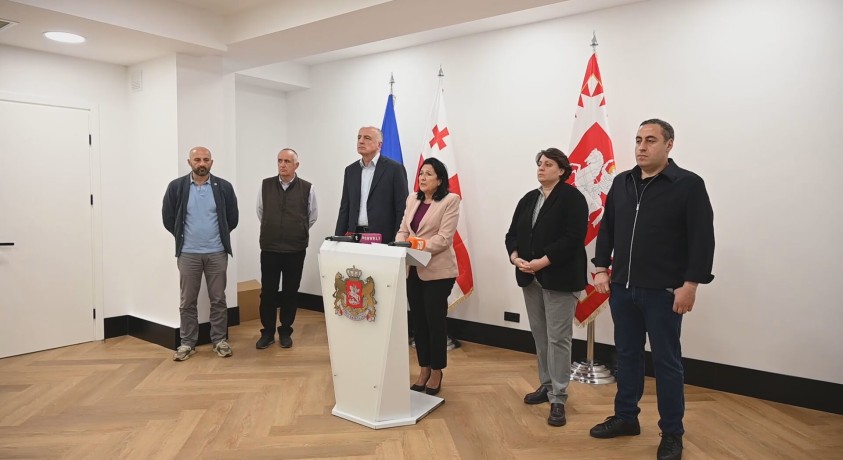 სალომე ზურაბიშვილი: „თავდასხმები გერმანიაზე, ევროკავშირის ელჩსა და სხვაზე – სრულიად მიუღებელია”