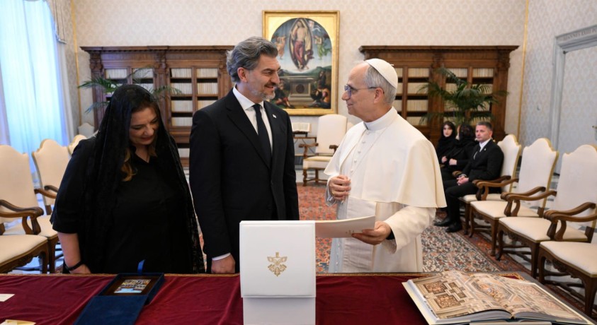 მიხეილ ყაველაშვილი: „რომის პაპს შევხვდი”