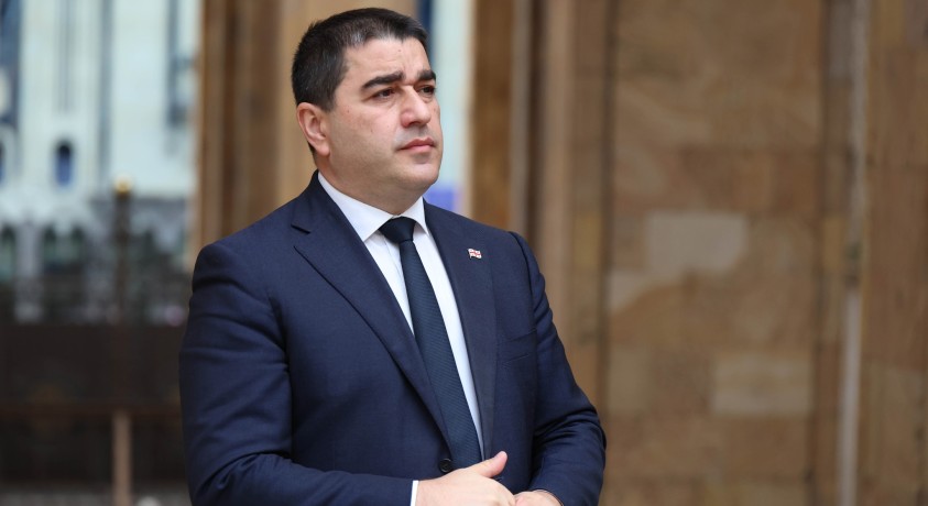 პაპუაშვილი: „ასე არ არის, ჩახვიდე ქვეყანაში და სიტუაცია არიო”