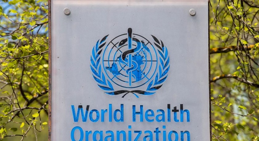 სიმართლეა თუ არა ცნობები, რომლებიც ინტერნეტში პანდემიის ხელშეკრულების თაობაზე გავრცელდა