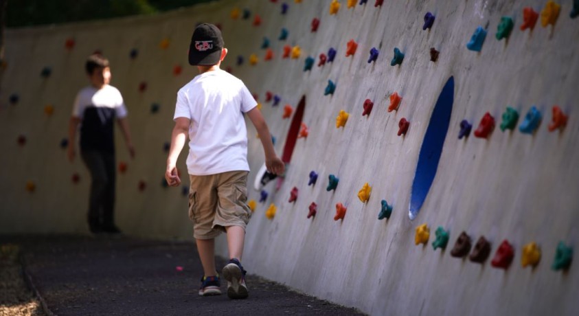 ბრძოლა ალიმენტისთვის