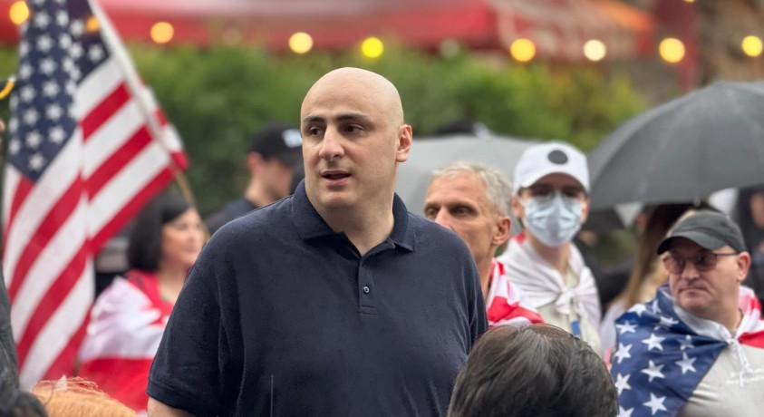 ნიკა მელია დააკავეს