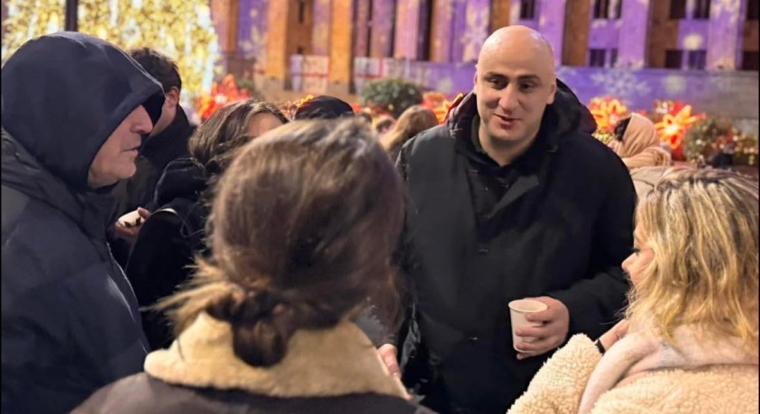 ნიკა მელიას დაკავება – ადგილობრივი და საერთაშორისო გამოხმაურება