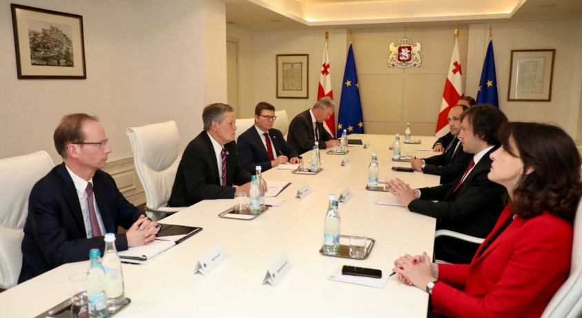 სენატორ სტივ დეინსის ვიზიტი თბილისში