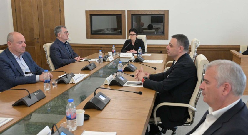 დროებით საგამოძიებო კომისიაზე აკადემიური სფეროს წარმომადგენლებს მოუსმინეს