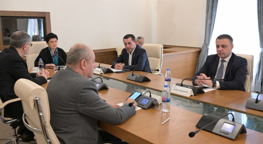 რუსეთ-საქართველოს ომი და „მუხროვანის ამბოხება“ – დროებითი კომისიის სხდომები გრძელდება