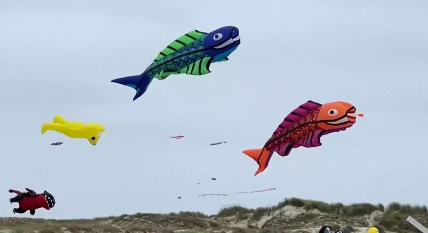 დანიაში ყოველწლიური ფრანების ფესტივალი გაიმართა