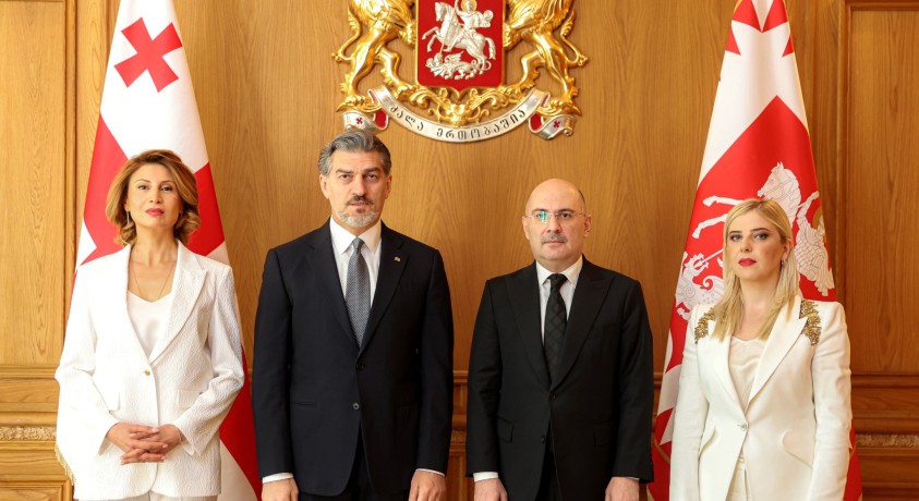 მიხეილ ყაველაშვილი ქართველ დიპლომატებს შეხვდა