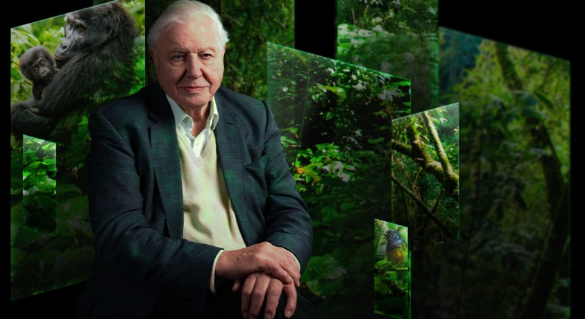 “ჩვენი ისტორია”