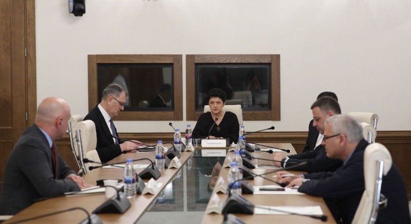 დროებითი  საგამოძიებო კომისიის სხდომას დიპლომატი დავით ბაქრაძე დისტანციურად ჩაერთო