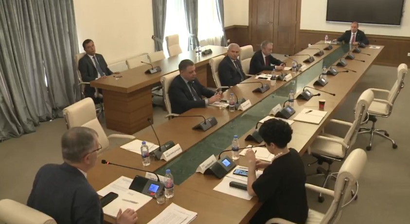 დიპლომატები დროებითი საგამოძიებო კომისიის სხდომაზე