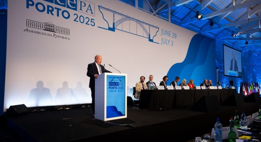 საქართველოს შესახებ ეუთოს საპარლამენტო ასამბლეის რეზოლუციის პოლიტიკური შეფასებები