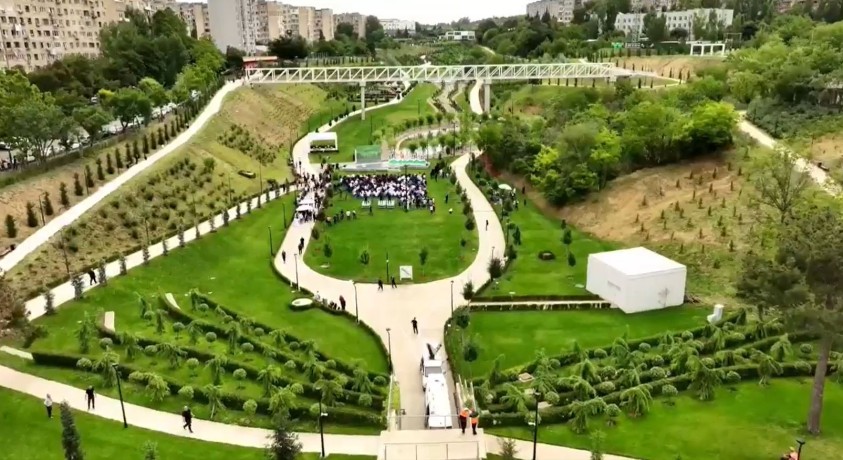 თბილისის გარემოს დაცვის პოლიტიკის შეჯამება