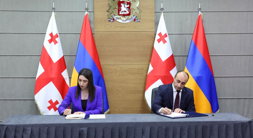 სომხეთის შს მინისტრი საქართველოს ეწვია