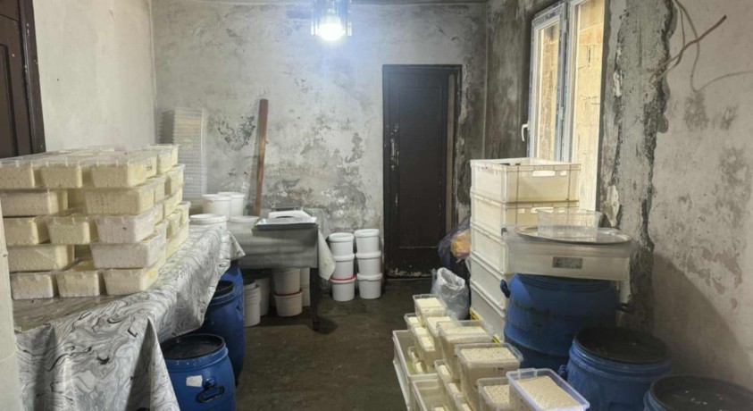 საქართველოს მასშტაბით რძის პროდუქტების არაერთი უკანონო საწარმო გამოვლინდა