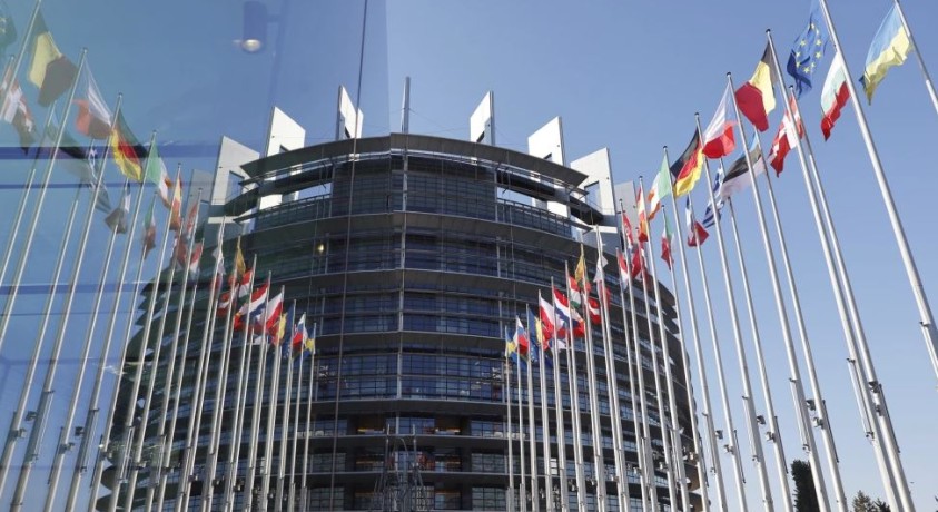 ევროპარლამენტი საქართველოს შესახებ წერს