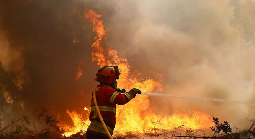 ხანძარს პორტუგალიაში 2000-ზე მეტი მაშველი ებრძვის