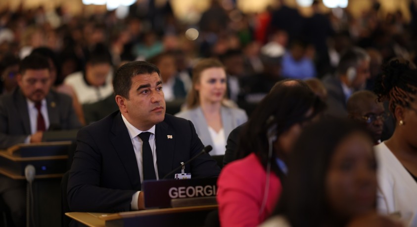 საქართველოს საპარლამენტო დელეგაციის ვიზიტი ჟენევაში